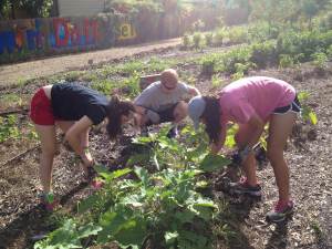 HS creating garden